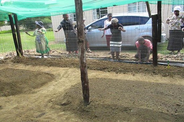 Philakahle Health & Safety Consultants