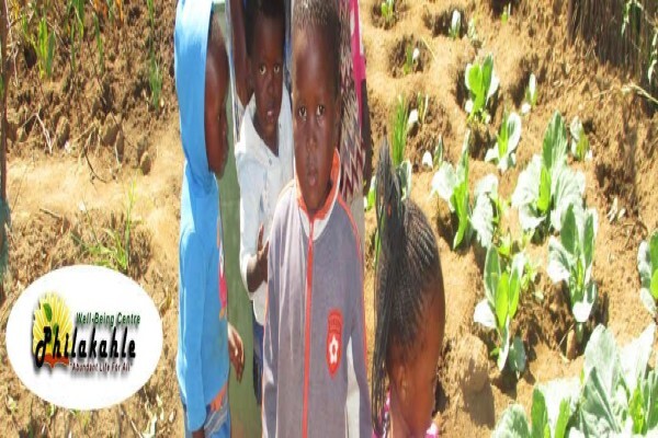 Philakahle Health & Safety Consultants