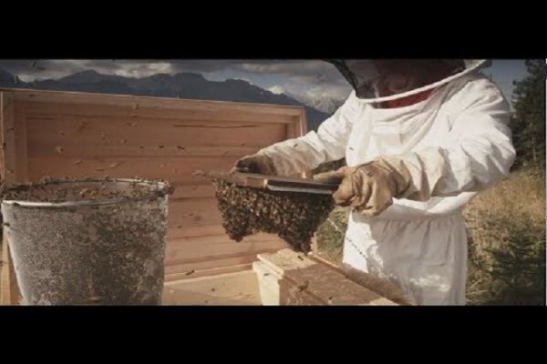 Hall's Hammer Hire (Pty) Ltd