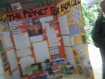 Blairgowrie Primary School