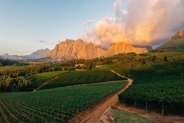 Ernie Els Wines (Pty) Ltd