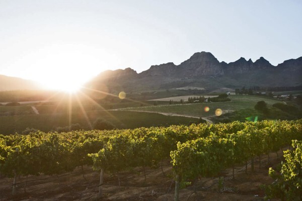 Ernie Els Wines (Pty) Ltd