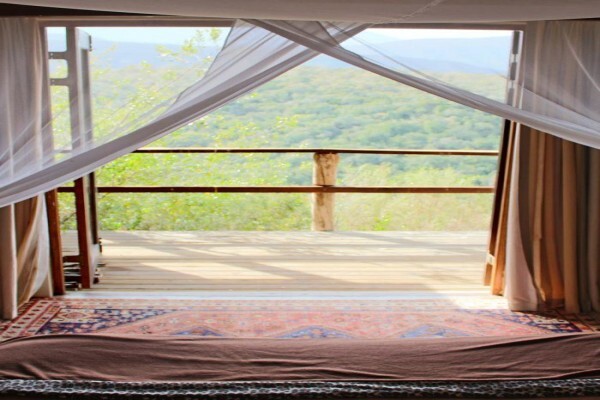 Plettenberg Bay Game Reserve