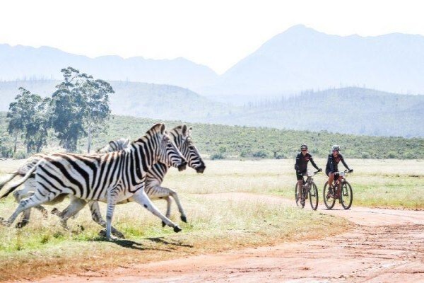 Plettenberg Bay Game Reserve