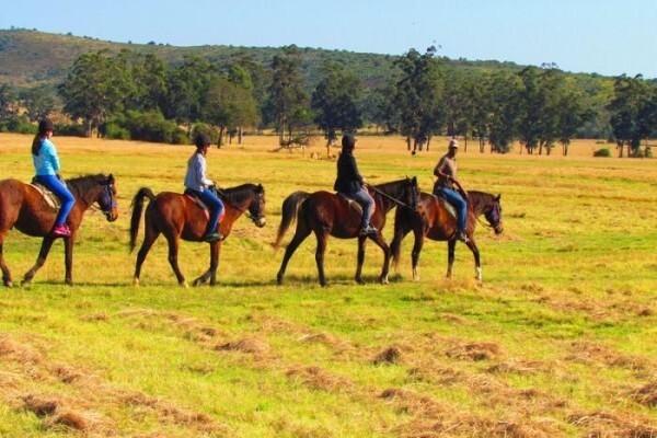 Plettenberg Bay Game Reserve