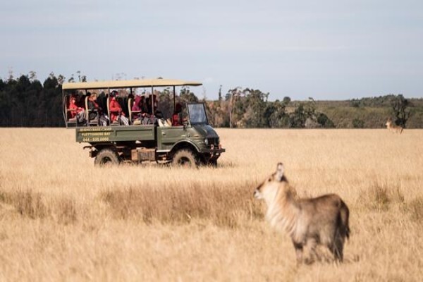 Plettenberg Bay Game Reserve