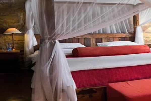 Plettenberg Bay Game Reserve