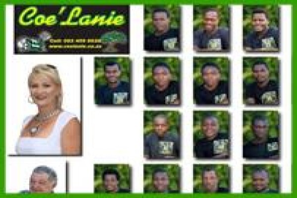 Coe Lanie