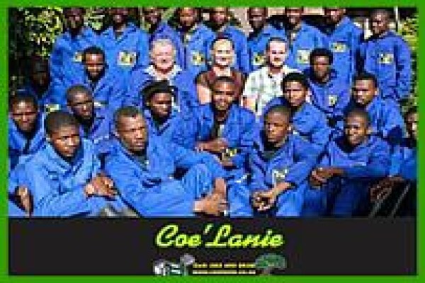 Coe Lanie