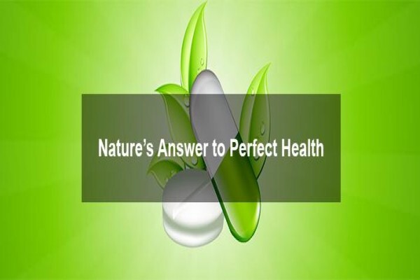 Herbalife Independent Distributors (Durban)