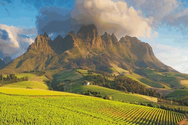 Malcolm Bouwer Estate Agent CC