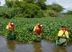 Natural Resources Management