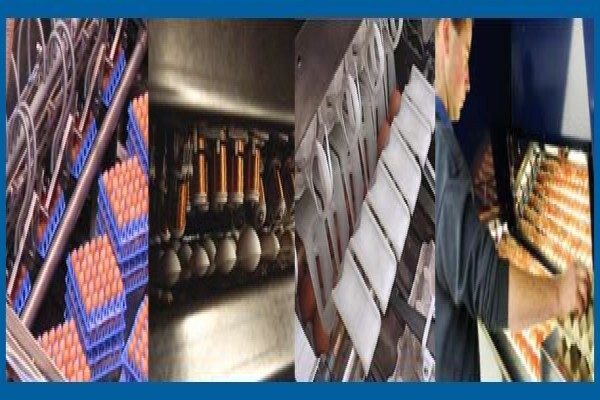 Hatchery Equipment Suppliers (Edms) Bpk