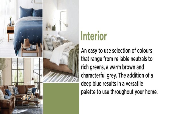 Shave Paint & Décor:branches:Amanzimtoti