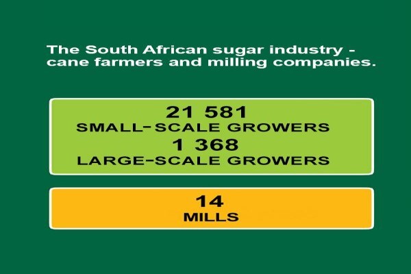 S A Cane Growers' Assn