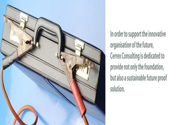 Cerrex Consulting (Pty)Ltd
