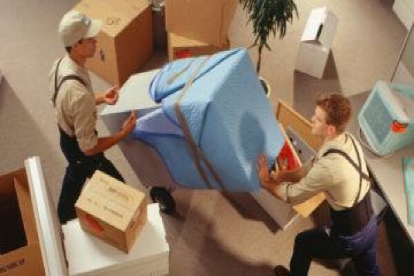 Bulls Removals