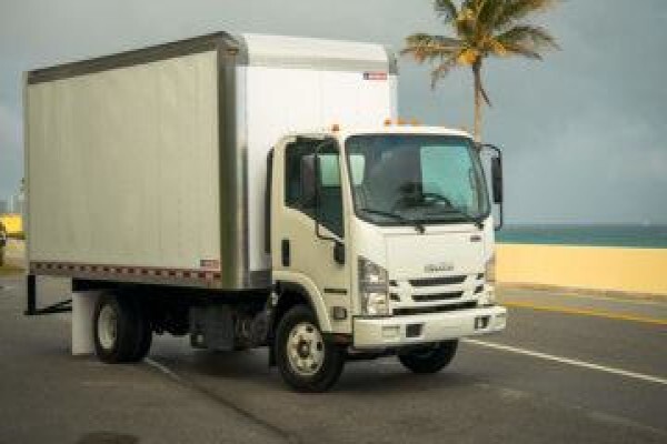 Bulls Removals