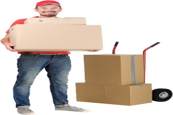Bulls Removals
