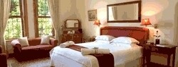 Moloko Hospitality