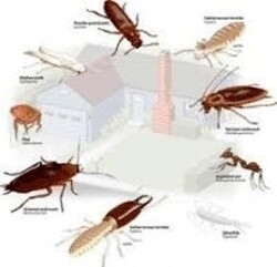 Kopanong Enviromental Services