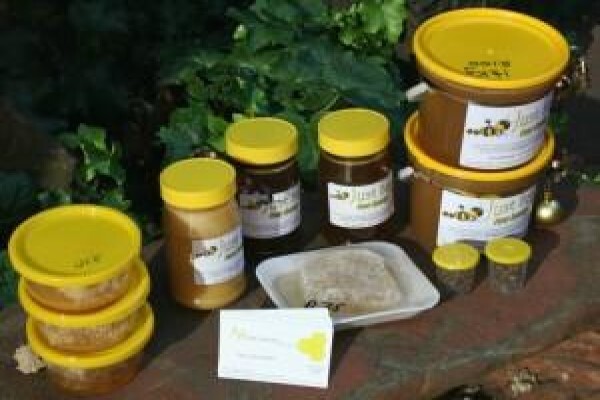 AA Bee Removals