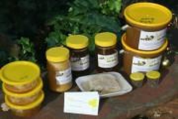 AA Bee Removals
