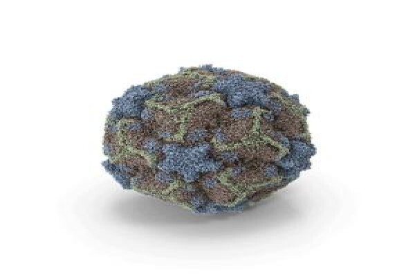 Lancet Laboratories:Entambeni