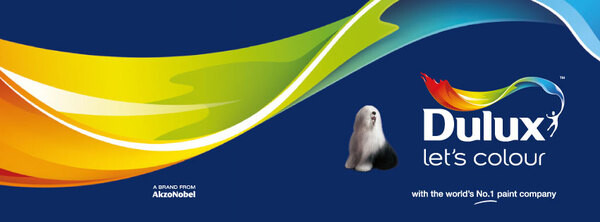 Dulux Paint 'n Paper