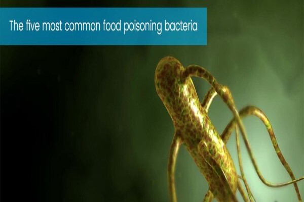 Ecofirst:Johannesburg