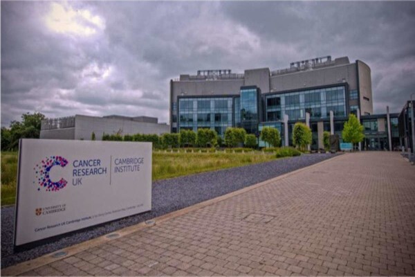 AstraZeneca Pharmaceuticals (Pty) Ltd