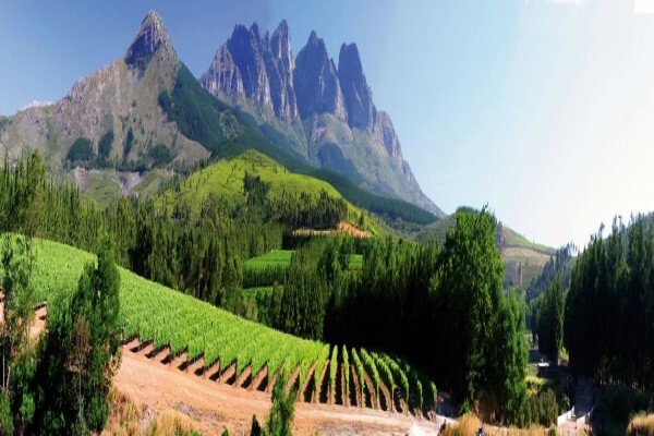 Doolhof Wine Estate