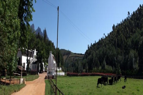 Doolhof Wine Estate