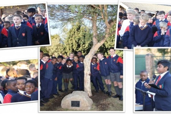 St Peter's College:St Peter's Boys School