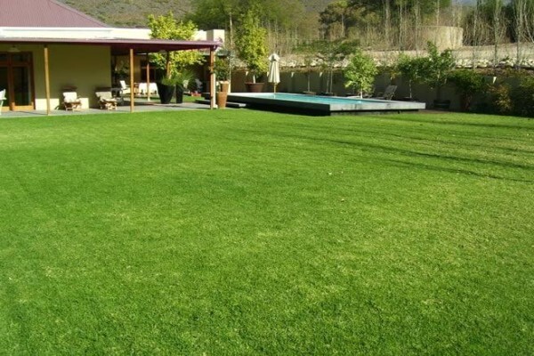 Grass Factory