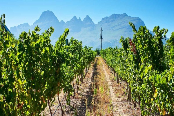 Longridge Wine Estate
