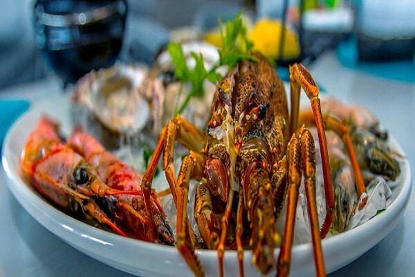 Moby Dicks Seafood Grill & Deck