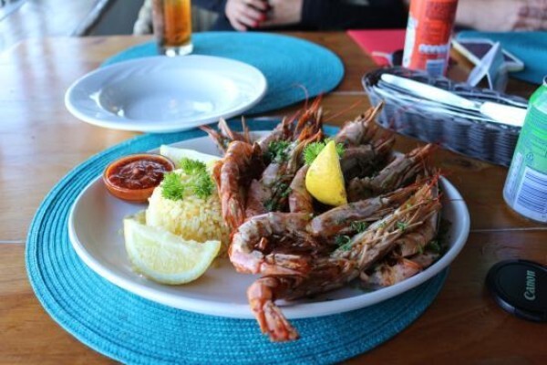 Moby Dicks Seafood Grill & Deck