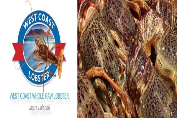Premier Fishing SA (Pty) Ltd