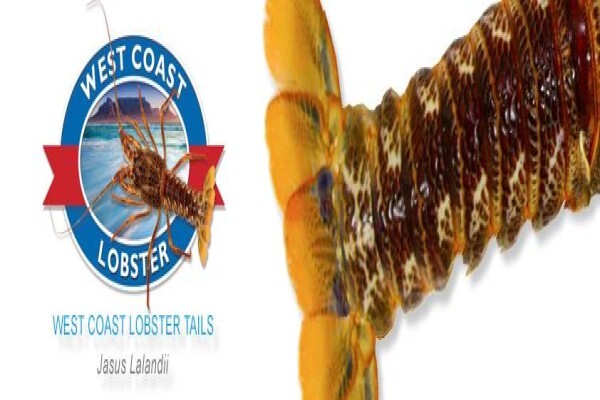 Premier Fishing SA (Pty) Ltd