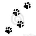 Fur Club Pet Parlour