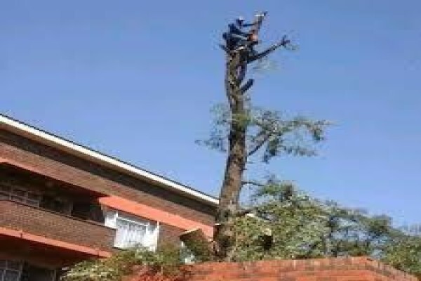 Boomslope South Africa Pty Ltd