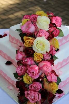 Wild Almond Catering (Pty) Ltd
