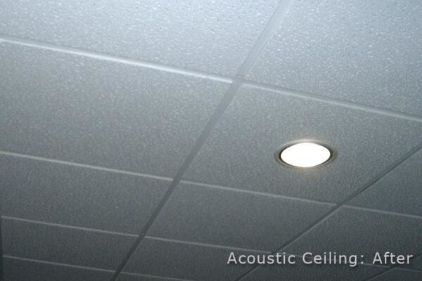 CeilSpray (Pty) Ltd