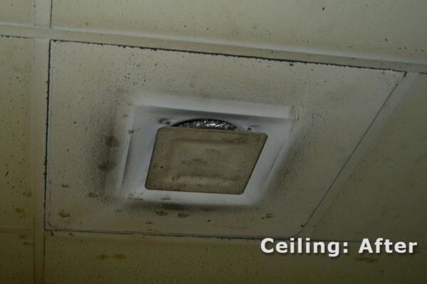 CeilSpray (Pty) Ltd