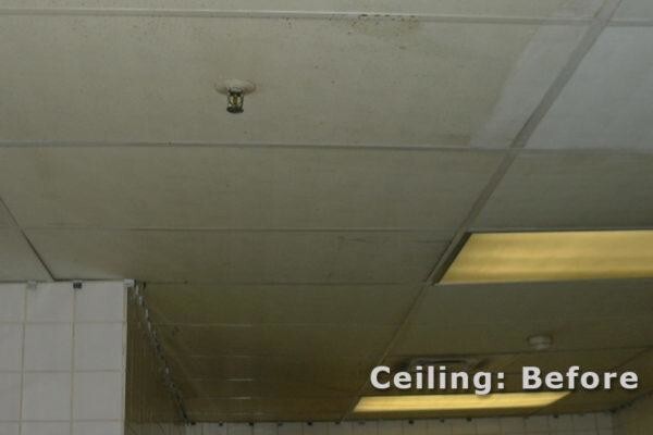 CeilSpray (Pty) Ltd