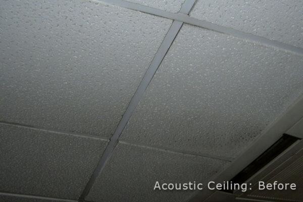 CeilSpray (Pty) Ltd
