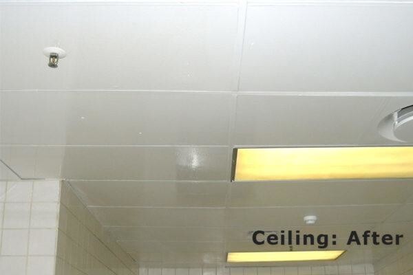 CeilSpray (Pty) Ltd