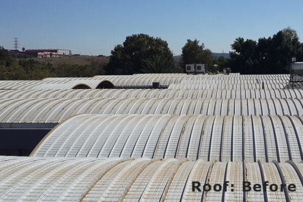 CeilSpray (Pty) Ltd