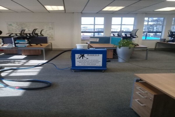 Bedfordview Carpet Cleaning Service